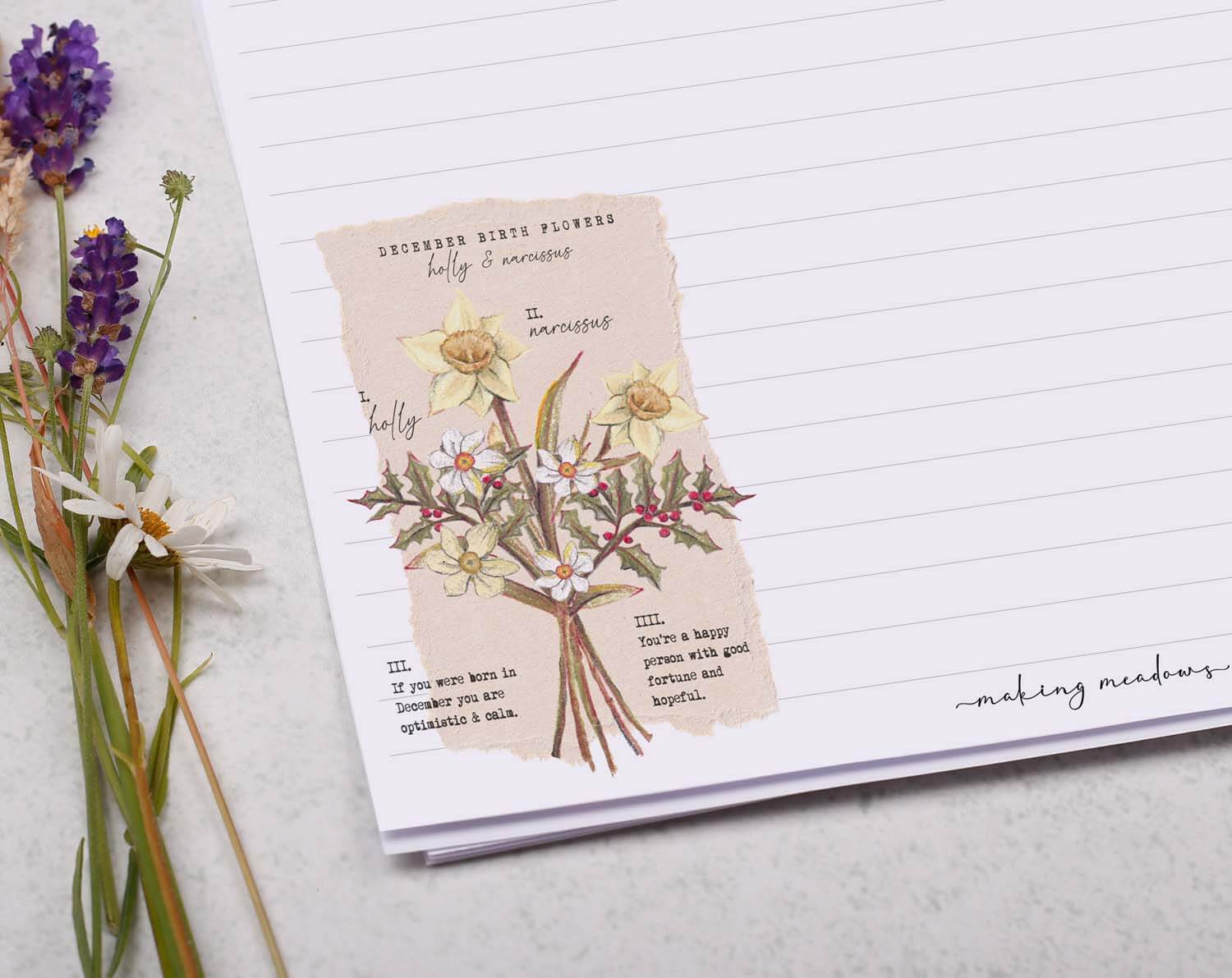 A4 Writing Paper With December Birth Flowers