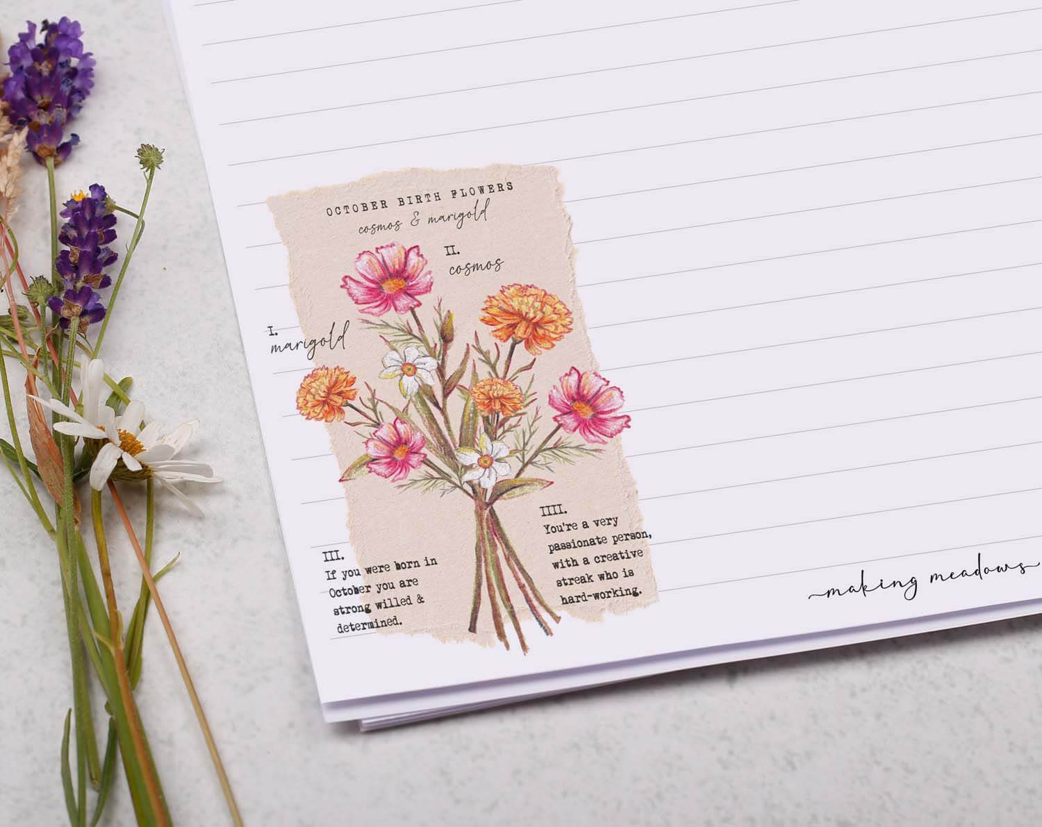 A4 Writing Paper With October Birth Flowers