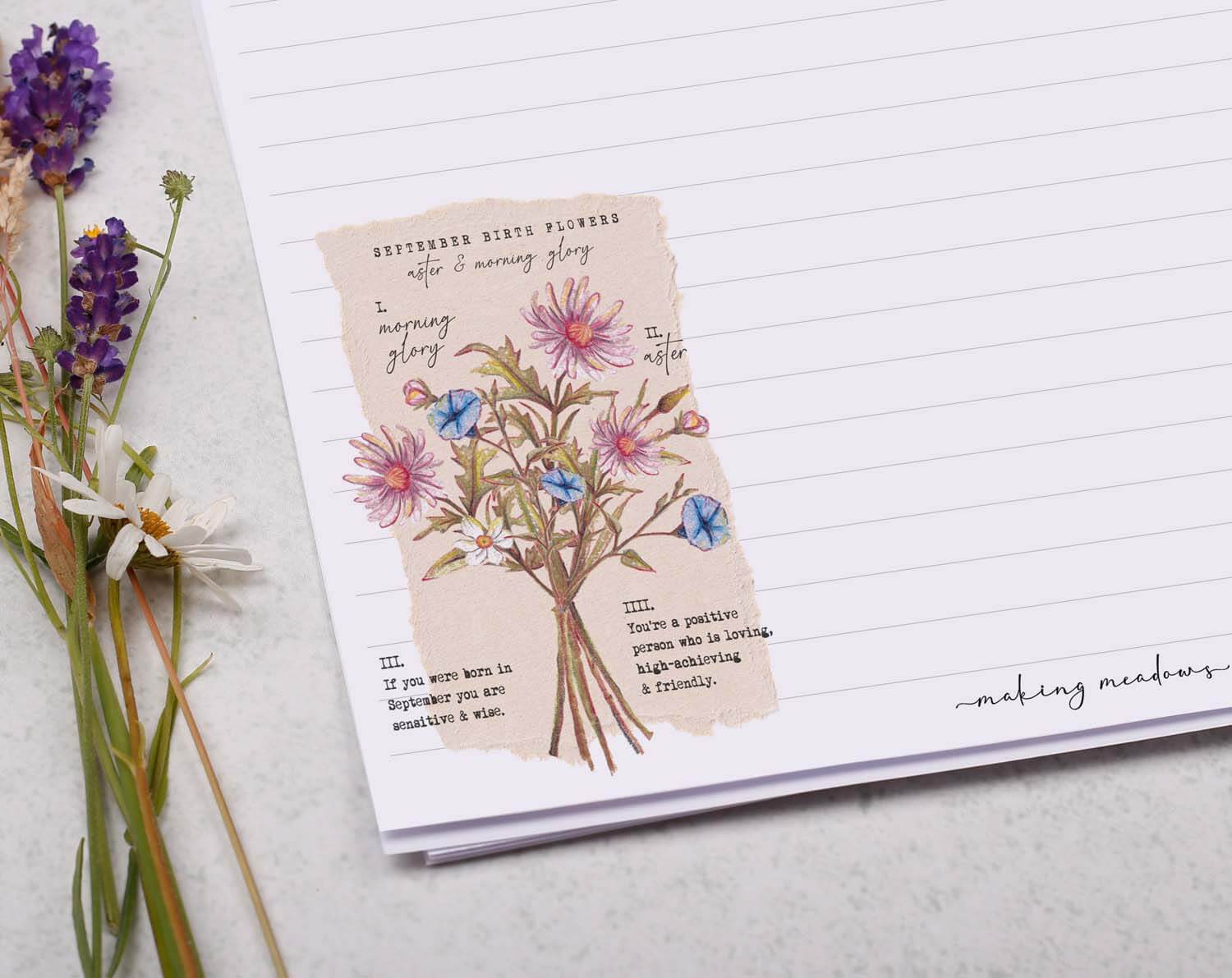 A4 Writing Paper With September Birth Flowers