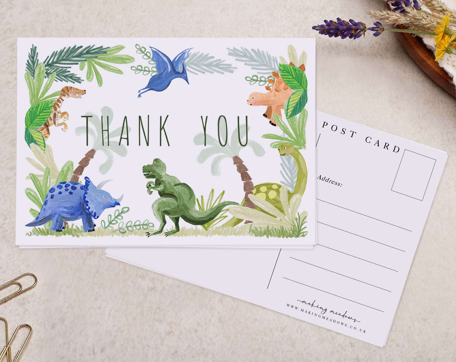 Children's Dinosaur Thank You Postcard. Post Cards designed by Making Meadows