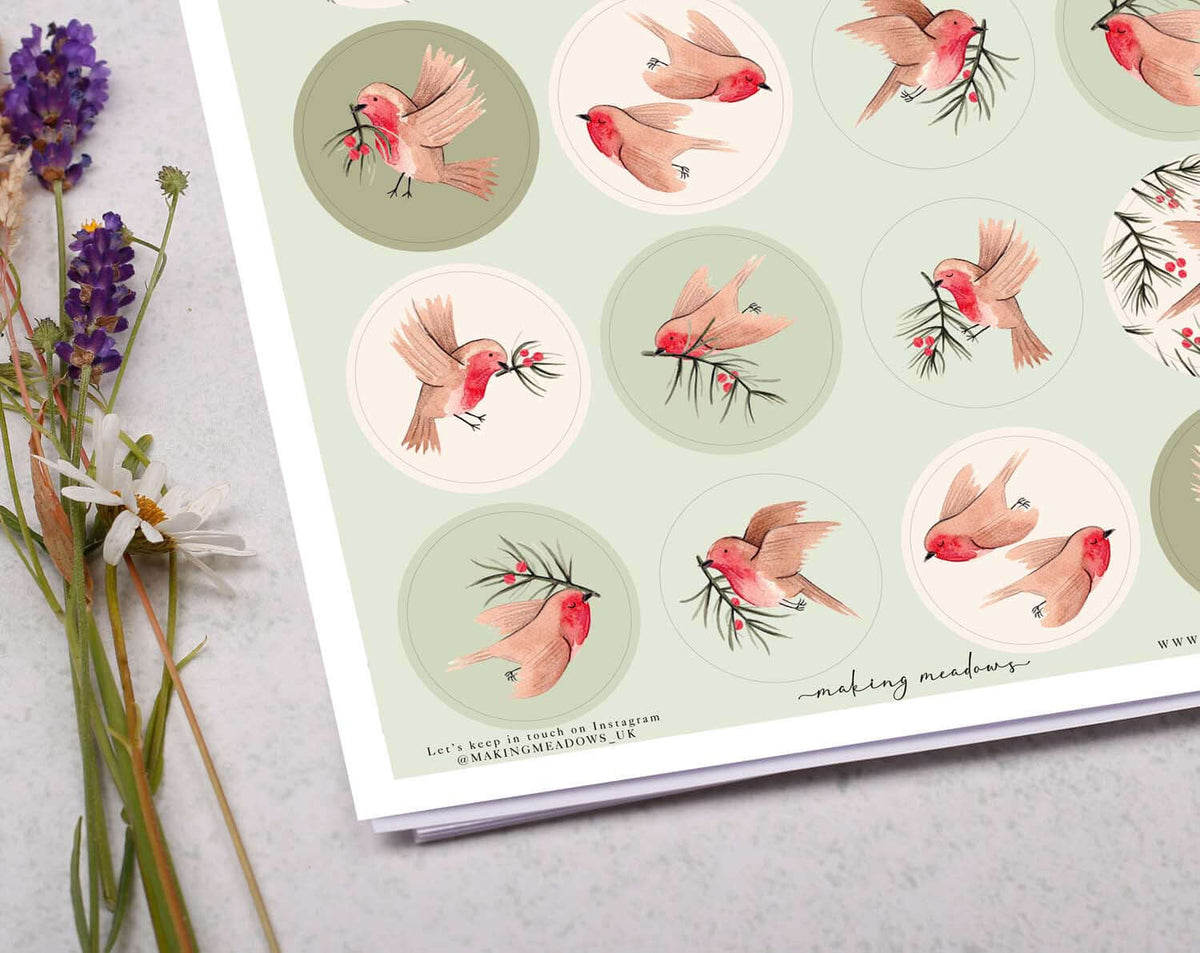 Robin Christmas Stickers featuring colorful robins surrounded by festive foliage on a light green background.