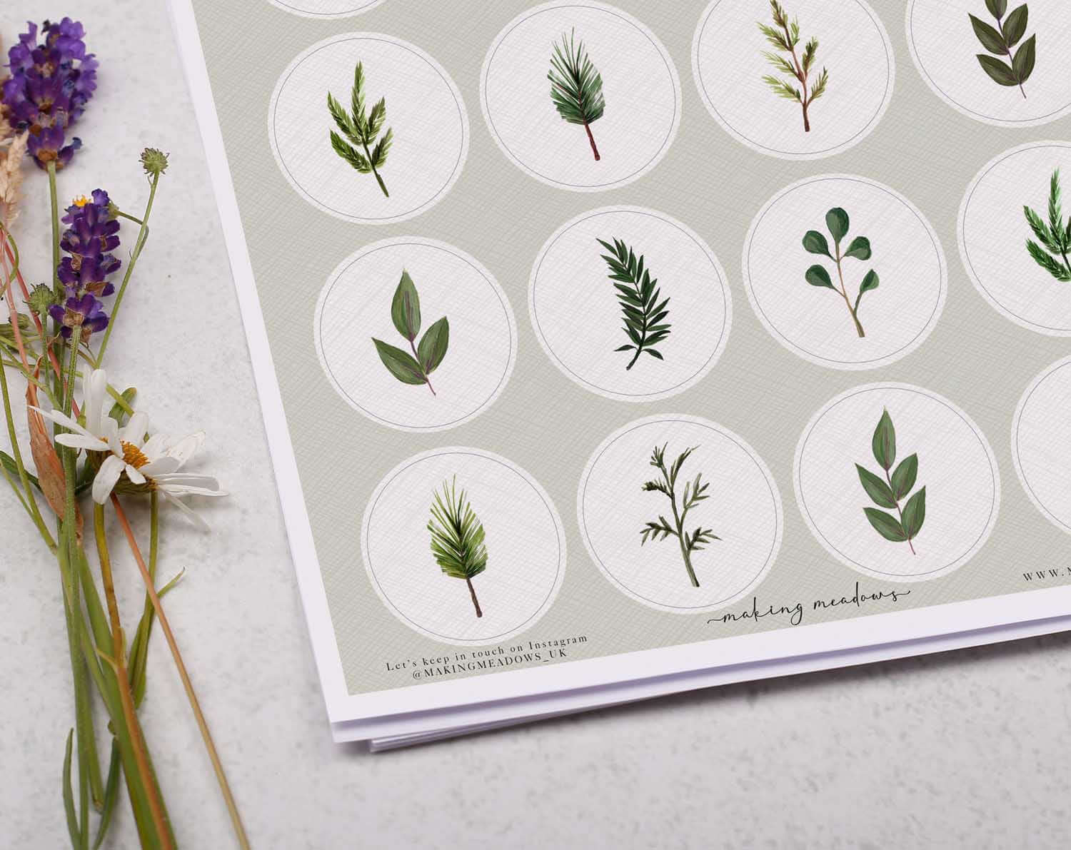 Scandinavian Botanical Sticker Sheet. Decorative Stickers designed by Making Meadows