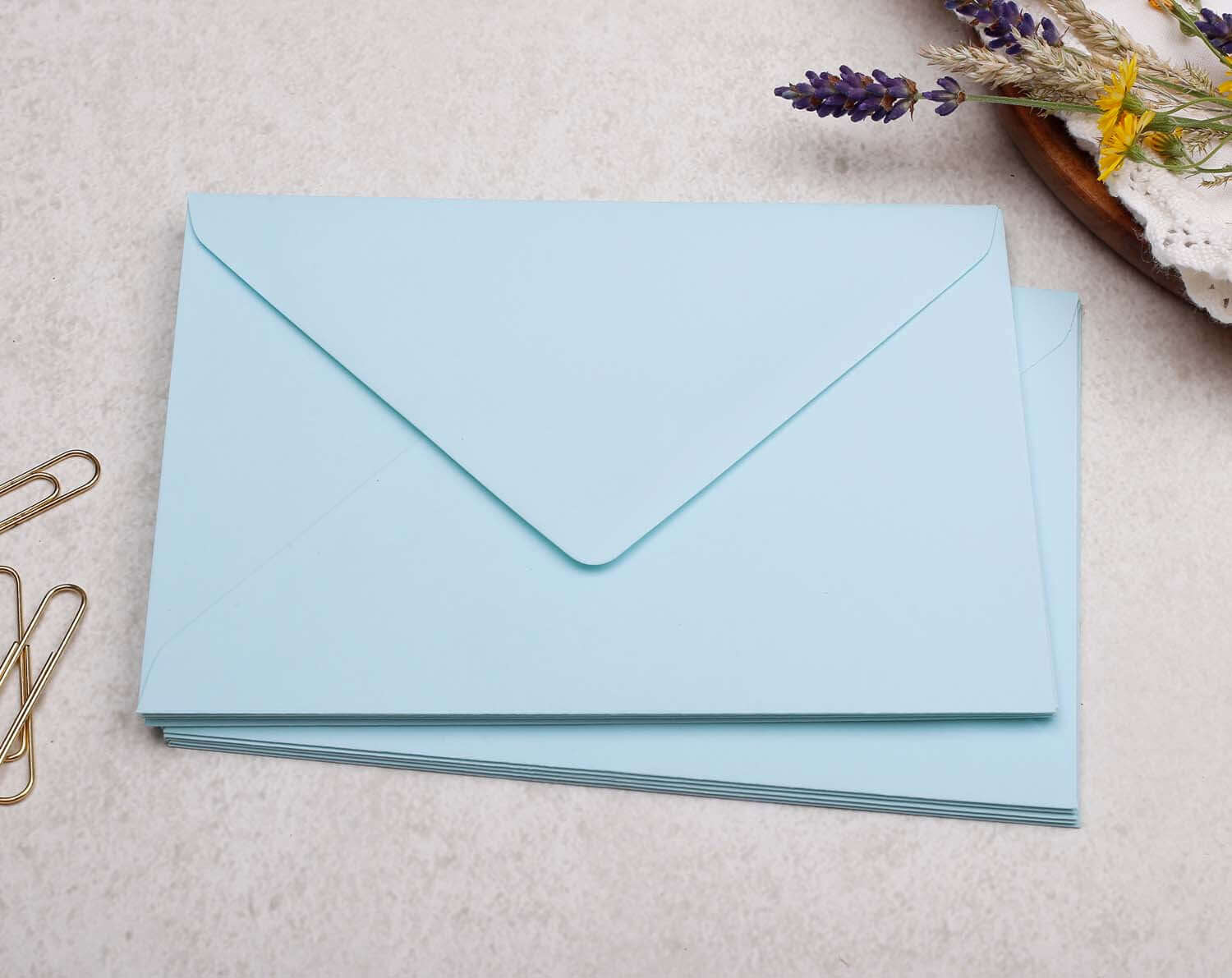 Light blue envelopes for Animals Personalised Note cards stationery set.