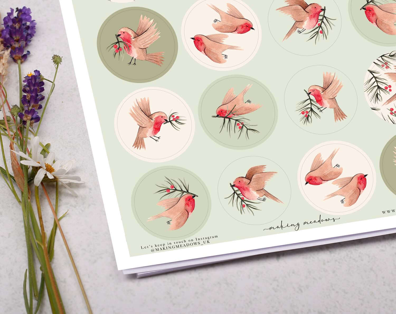 Robin Christmas Stickers featuring colorful robins surrounded by festive foliage on a light green background.
