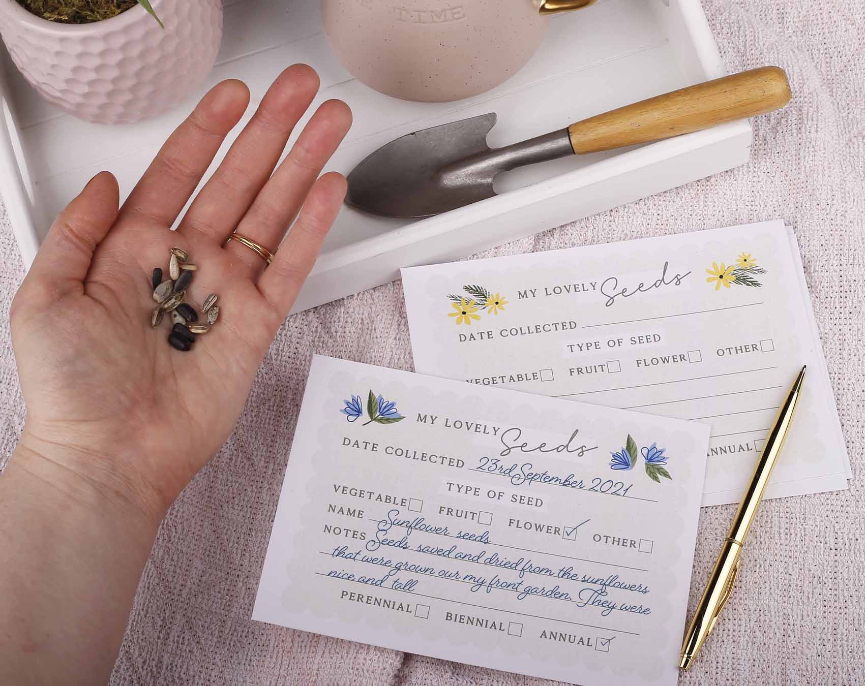 Seed Collecting Envelopes. Plant & Flower Bulbs designed by Making Meadows