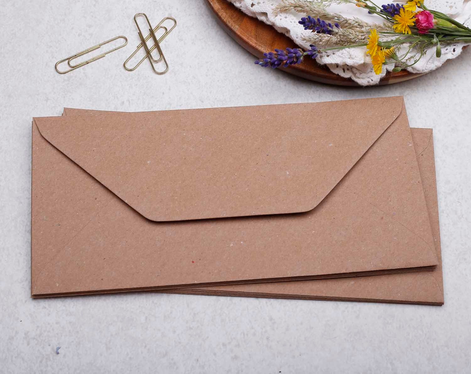 DL Kraft Envelopes